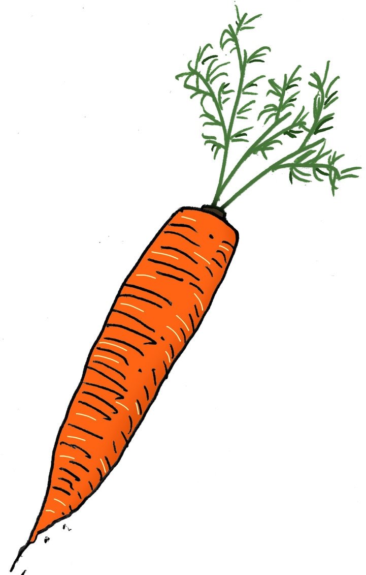 Carotte