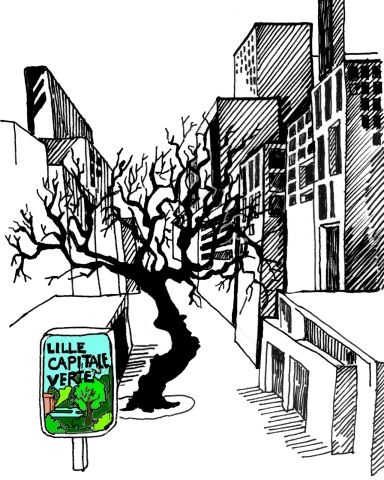 lillecapitaleverte